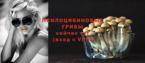 спайс Аркадак