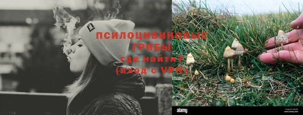 мяу мяу мука Арсеньев