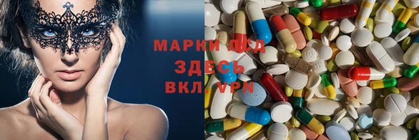 мяу мяу мука Арсеньев